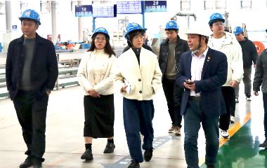 宜賓市經(jīng)合新產(chǎn)局領導來訪遠東電纜（宜賓）